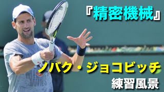 【テニス】色んな角度で、精密機械男、ジョコビッチの練習を見る動画【ジョコビッチ】