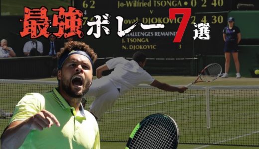 【テニス】ツォンガの印象的なボレー7選
