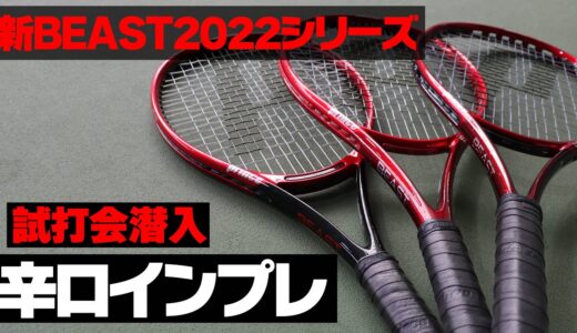 【テニス】新ビースト2022モデル直感インプレ！プリンス（PRINCE）BEAST100/最新テニスラケットインプレ〈ぬいさんぽ〉