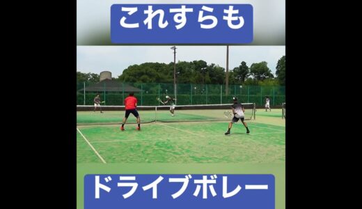 【#テニス 】全国選手はこれドライブボレーです😂 #tennis #shorts #切り抜き